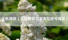 手机接收（手机接收卫星定位信号异常）