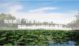 如何通过“权重查询”提升网站排名？揭秘SEO优化的核心策略