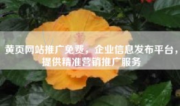 黄页网站推广免费，企业信息发布平台，提供精准营销推广服务