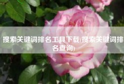 搜索关键词排名工具下载(搜索关键词排名查询)