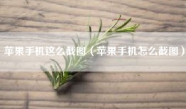 苹果手机这么截图（苹果手机怎么截图）