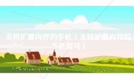 支持扩展内存的手机（支持扩展内存的手机型号）
