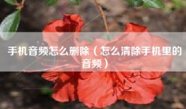 手机音频怎么删除（怎么清除手机里的音频）