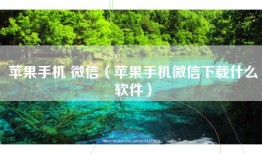苹果手机 微信（苹果手机微信下载什么软件）