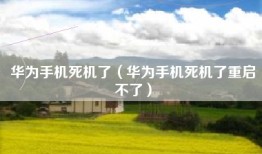 华为手机死机了（华为手机死机了重启不了）
