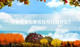 了解搜索引擎优化可以做什么？