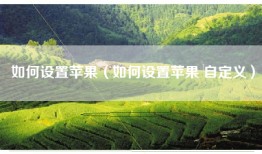 如何设置苹果（如何设置苹果 自定义）