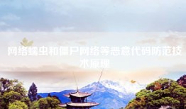 网络蠕虫和僵尸网络等恶意代码防范技术原理