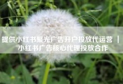 提供小红书聚光广告开户投放代运营 ｜ 小红书广告核心代理投放合作