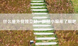 什么是外贸独立站，跟随小编来了解吧