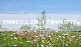 苹果手机怎么设置ip（苹果手机如何改ip地址）