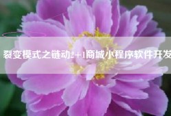 裂变模式之链动2+1商城小程序软件开发