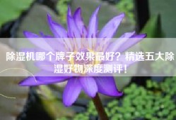 除湿机哪个牌子效果最好？精选五大除湿好物深度测评！
