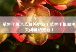 苹果手机怎么暂停更新（苹果手机哪里关闭自动更新）