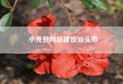 小外贸网站建设汕头市