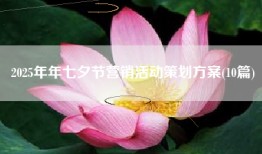2025年年七夕节营销活动策划方案(10篇)