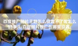 百度推广图片主题怎么设置不了呢怎么回事儿(百度图片推广在哪里设置)