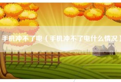 手机冲不了电（手机冲不了电什么情况）