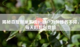 揭秘百度凤巢系统：客户为保排名不降，每天盯后台竞价