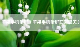 苹果手机暗屏（苹果手机暗屏在哪里关）