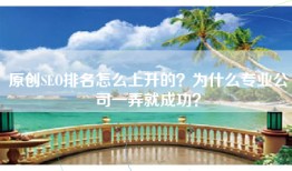 原创SEO排名怎么上升的？为什么专业公司一弄就成功？