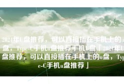 2024年U盘推荐，可以直接插在手机上的u盘，Type-C手机u盘推荐手机U盘「2024年U盘推荐，可以直接插在手机上的u盘，Type-C手机u盘推荐」