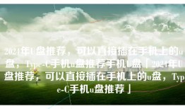 2024年U盘推荐，可以直接插在手机上的u盘，Type-C手机u盘推荐手机U盘「2024年U盘推荐，可以直接插在手机上的u盘，Type-C手机u盘推荐」