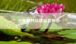 小外贸网站建设霍州市