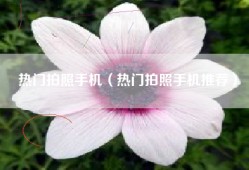 热门拍照手机（热门拍照手机推荐）