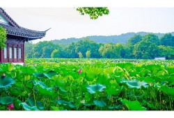 娌抽之境：海南万泉旅游景点探秘
