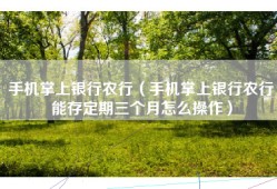 手机掌上银行农行（手机掌上银行农行能存定期三个月怎么操作）