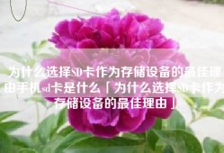 为什么选择SD卡作为存储设备的最佳理由手机sd卡是什么「为什么选择SD卡作为存储设备的最佳理由」