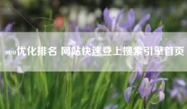 seo优化排名 网站快速登上搜索引擎首页