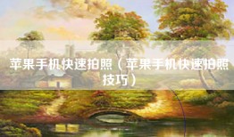 苹果手机快速拍照（苹果手机快速拍照技巧）