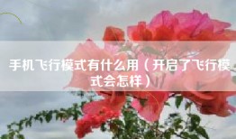 手机飞行模式有什么用（开启了飞行模式会怎样）