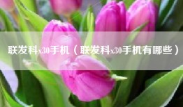 联发科x30手机（联发科x30手机有哪些）