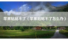 苹果粘贴不了（苹果粘贴不了怎么办）