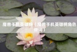 魔兽手机英雄榜（魔兽手机英雄榜角色查询）