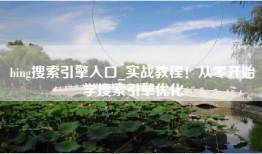 bing搜索引擎入口_实战教程！从零开始学搜索引擎优化