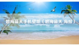 碧海蓝天手机壁纸（碧海蓝天 海报）
