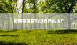 运用百度百科进行网站推广