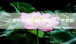seo广告投放是做什么的呢_seo广告营销