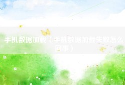 手机数据加载（手机数据加载失败怎么回事）