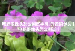 电脑摄像头怎么测试手机u外置摄像头「电脑摄像头怎么测试」