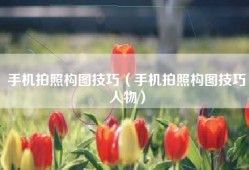手机拍照构图技巧（手机拍照构图技巧人物）