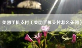美团手机支付（美团手机支付怎么关闭）