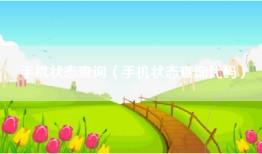 手机状态查询（手机状态查询代码）