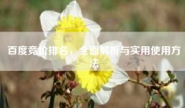 百度竞价排名，全面解析与实用使用方法