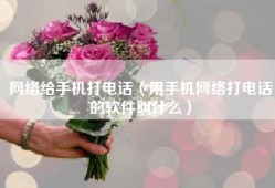 网络给手机打电话（用手机网络打电话的软件叫什么）