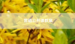 营销公开课教案